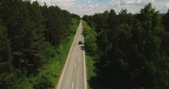 One black SUV car driving alone / travel on empty straight asphalt road freeway through dense forest corridor at summer sunny day. Aerial drone wide view.