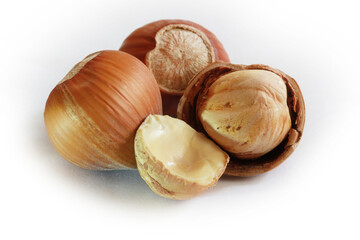  Hazelnuts isolated on white background.  Studio shot.