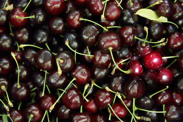  Fresh ripe cherries. Food background.