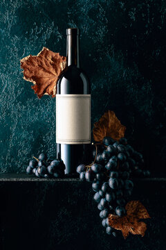 Red wine and blue grapes with dried up vine leaves on an old dark blue background.