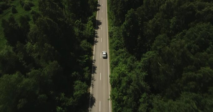 One white wagon car driving alone / travel on straight asphalt road freeway through dense forest corridor at summer sunny day. Aerial drone wide view.