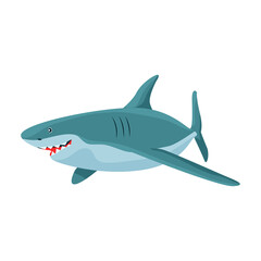 Shark cartoon vector icon.Cartoon vector illustration fish of sea. Isolated illustration of shark icon on white background.