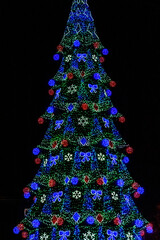 Christmas tree illuminated with the many colorful lights