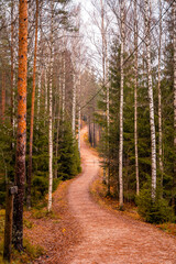 Lapland Finland, lake and forest, nature photography. Travel