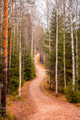 Fototapeta premium Lapland landscape in finland, Finland