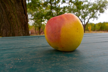 Yellow and red apple on the table