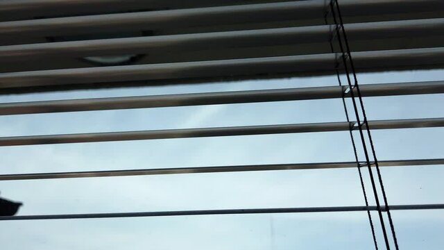 Window blinds on wide panoramic window