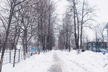 Winter forest landscape. Tall trees under snow cover. January frosty day in the park.