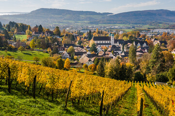 Arlesheim, Dom, Weinberg, Birstal, Birsebene, Aesch, Pfeffingen, Dornach, Dorf, Herbst, Herbstlaub,...