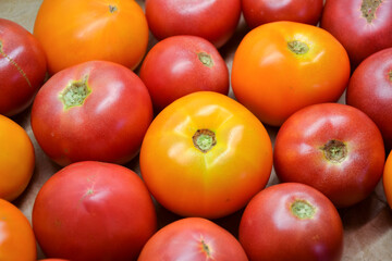 Tomatoes summer harvest. Village garden harvest. Tomato from farmers market. Fresh red and yellow tomatoes. Organic vegetables.