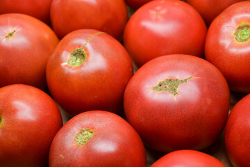 Tomatoes summer harvest. Village garden harvest. Tomatoes from farmers market. Fresh red tomato. Organic vegetables. Salad ingredients.