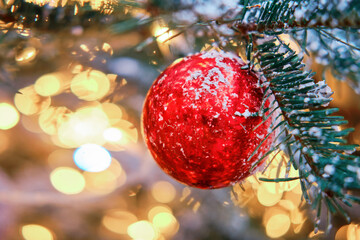 One red ball covered with snow as a decoration for the New Years celebration, golden bokeh. Winter christmas tree with bauble, copy space