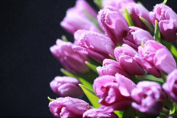 Bouquet of fresh flowers. Holiday gift to your loved one. Background St. Valentine's Day. Rose, tulip, iris flower arrangement.