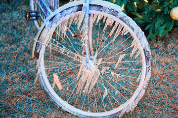 Frozen bicycle wheel on the background of a Christmas tree, New Year