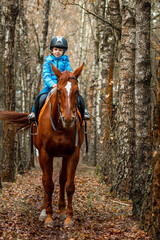 Little girl on an adult brown horse on the background of nature. Jockey, epodrome, horseback riding.