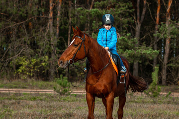 Little girl on an adult brown horse on the background of nature. Jockey, epodrome, horseback riding.