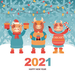 New year or Christmas card funny bulls with gifts and sweets. Ox in the winter coniferous forest. Festive vector illustration with glowing light bulbs garlands and greeting inscription. Symbol 2021.