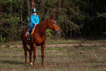 Little girl on an adult brown horse on the background of nature. Jockey, epodrome, horseback riding.