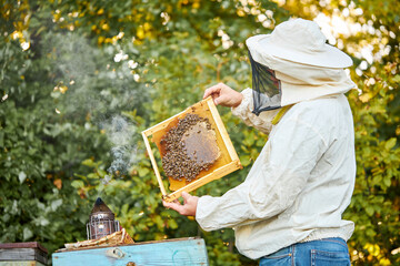 confident beekeeper on apiary in uniform, protective suit. male is working with bees and beehives on the apiary, bees collect honey