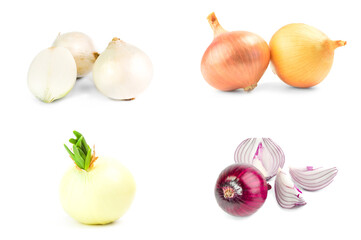 Collection of Fresh onion bulbs isolated on a white background with clipping path