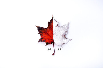 Concept of seasons changing, from late autman to winter