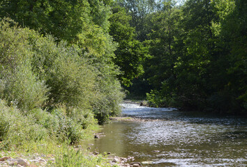 Fototapeta premium river