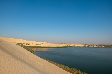 Fototapeta na wymiar Alasfar Lake (Yellow Lake) near Al Hasa in Eastern Saudi Arabia