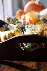 colourful autumn decoration with flowers, plants pumpkins, creative close ups with blurred background, could be used in multiple ways, cards, poster or background or decoration 