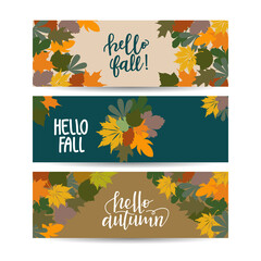 Set of three autumn sale banner with leaves in the frame. For shopping promo web banner.