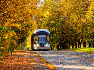 Tram rails in the corridor of the yellow autumn trees in Moscow