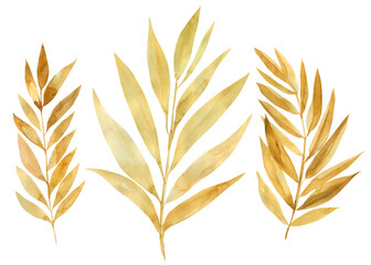 Set of yellow leaves on an isolated white background, watercolor painting, abstract autumn leaves