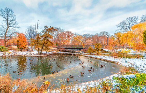 Lincoln Park of Chicago City view in winter