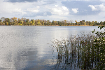 widok na jezioro Pszczewskie