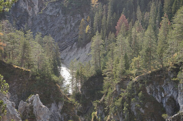 Gleischhöhe im Karwendel