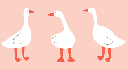 Vector illustration with geese. Cute cartoon characters.