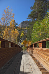 A small bridge over stream