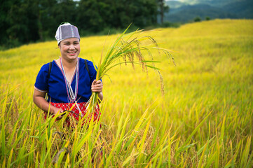 Naklejka na ściany i meble woman farmer with paddy rice on rice terrace 