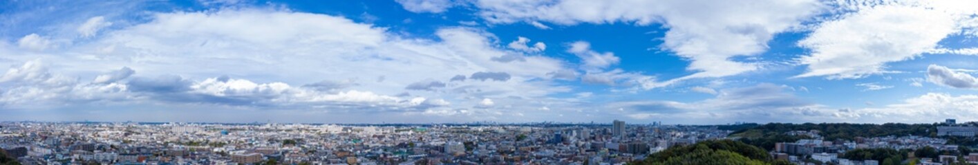 Naklejka na ściany i meble Tokyo panorama view