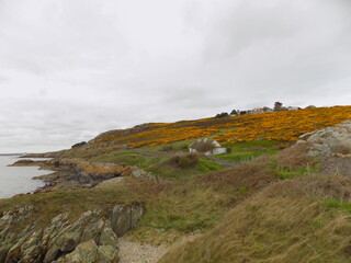 Fototapeta na wymiar view of the cliffs