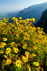 Parque Nacional Montañas Simien, Etiopia, Africa