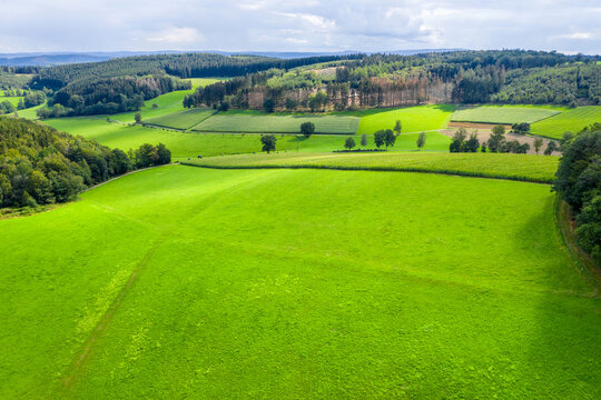 A Green Meadow And Mixed Forest From Above