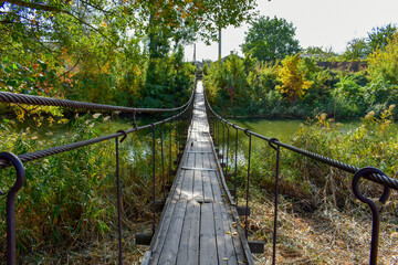 Fototapeta na wymiar suspension bridge in the forest