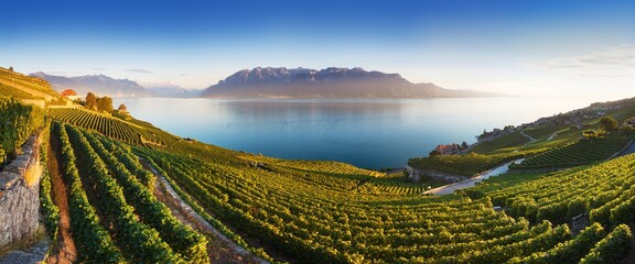 Vue panoramique sur la ville de Vevey au bord du lac Léman avec les vignobles de la célèbre région viticole de Lavaux par une belle journée ensoleillée avec un ciel bleu en été ou au printemps, Canton de Vaud, Suisse. Beauté