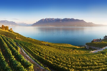 Panoramic view of the city of Vevey at Lake Geneva with vineyards of famous Lavaux wine region on a...