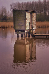 bird watching house with reflexion