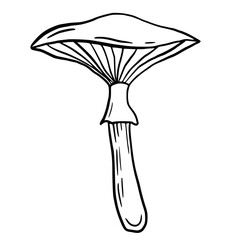 Hand drawn vector isolated  mushroom. Black outline illustration of magic mushrooms. Witchcraft aesthetic tools.