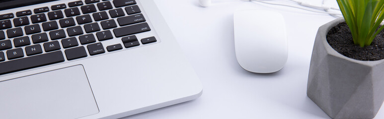 new modern laptop keyboard with computer mouse and earphones with plant in pot isolated on white...