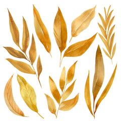 Set autumn leaves on isolated white background. Watercolor dry herbs