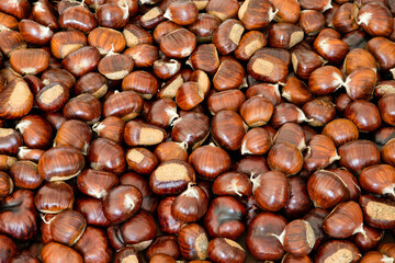 Sweet chestnut background for creative backdrop (Focus stacking)