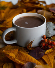 cup of coffee with autumn leaves